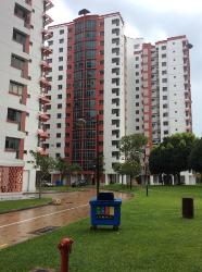 choa-chu-kang-avenue-4 photo thumbnail #7